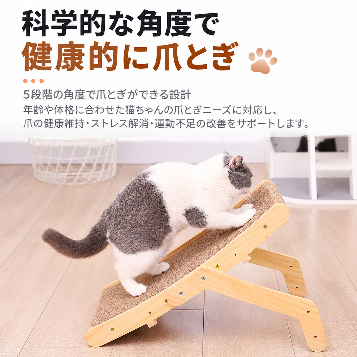 猫用爪とぎベッド